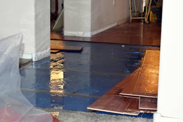 Professional Burst Pipe Cleanup technician working in Coloma, WI